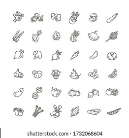 Basic vegetables thin line icon set