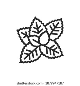 Basil black line icon. Cooking ingredient. Vector illustration