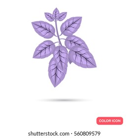 Basil branch color flat icon for web and mobile design