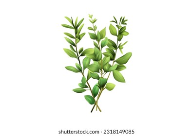 Basil branches, isolated vector elements 3d. Green stem with leaves. Fragrant plant branch, a bush of fresh basil, bundle. An ingredient for cooking and decorating food, seasoning, garden herbs. 