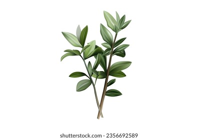 Basil branches, isolated vector elements 3d. Green stem with leaves. Fragrant plant branch, a bush of fresh basil, bundle. An ingredient for cooking and decorating food, seasoning, garden herbs. 