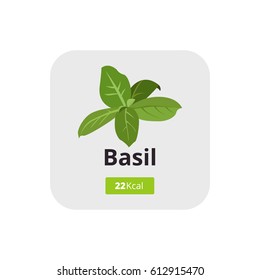 Basil calories. Vector emblem of green basil herb for design element in culinary, cooking ingredient, package decoration, sticker, label