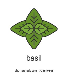 Basil color icon. Isolated vector illustration