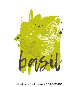 Basil concept design. Hand drawn vector illustration. Herbs and spices. Can be used for farmers market, food festival, menu, cafe, restaurant, bar, poster, banner, emblem, sticker, placard.