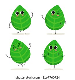 Basil. Cute cartoon herb vector character set isolated on white