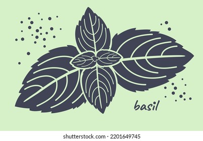 Basil. Dark gray silhouette of fragrant basil spice isolated on light green background. Vector illustration.