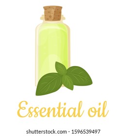 Basil essential oil bottle isolated illustration, vector clip-art.