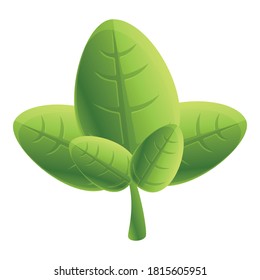 Basil farming icon. Cartoon of basil farming vector icon for web design isolated on white background