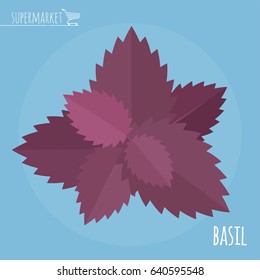 Basil flat design vector icon. 