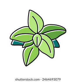 Vector de color de sabor de albahaca. símbolo de sabor de albahaca. ilustración de símbolo aislado
