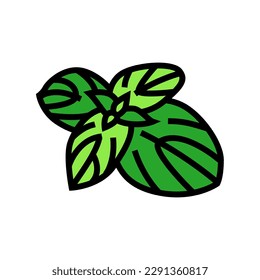 basil food herb color icon vector. basil food herb sign. isolated symbol illustration