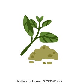 Erva de manjericão, folhas verdes aromáticas e pó moído seco. Folhas frescas, ervas aromáticas e condimentos secos, especiarias. Condimento natural orgânico, ingrediente. Ilustração de vetor plano isolada no plano de fundo branco