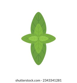 Basil herb icon flat vector. Spice leaf. Leaves plant isolated