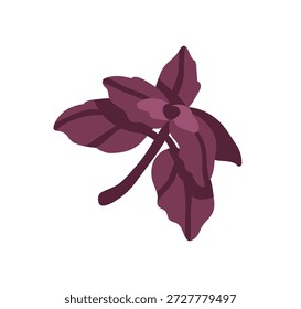 Erva de manjericão com folha roxa. Folhas aromáticas naturais, sabor italiano fresco, especiarias. Tempero, condimento, ingrediente alimentar para cozinhar. Ilustração de vetor plano isolada no plano de fundo branco