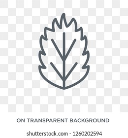 Basil icon. Basil design concept from Fruit and vegetables collection. Simple element vector illustration on transparent background.