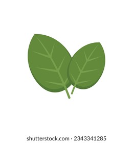 Basil icon flat vector. Herb leaf. Spice plant isolated