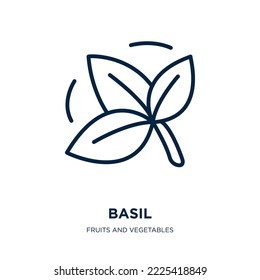 basil icon from fruits and vegetables collection. Thin linear basil, herb, food outline icon isolated on white background. Line vector basil sign, symbol for web and mobile