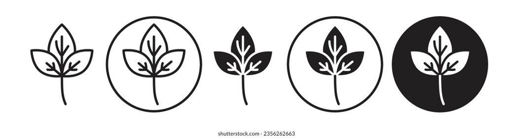 Icono de Basil. El aroma natural es el uso de especias en los alimentos hasta el símbolo del condimento. Árbol de albahaca o rama de planta con hojas. Conjunto vectorial de hierbas orgánicas o especias con hoja. Esquema plano del logotipo de la albahaca herbaria