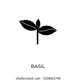 Basil icon. Basil symbol design from Fruit and vegetables collection. Simple element vector illustration on white background.