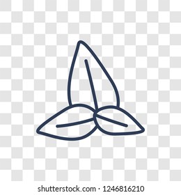 Basil icon. Trendy linear Basil logo concept on transparent background from Fruits and vegetables collection