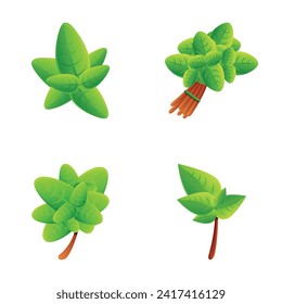 Basil icons set cartoon vector. Basil stem with green leaf. Healthy herbal plant