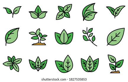 Basil icons set. Outline set of basil vector icons thin line color flat on white