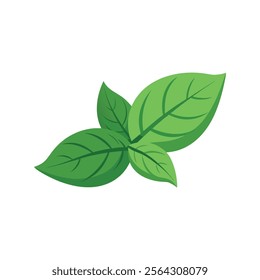 
Basil isolated flat vector illustration on white background