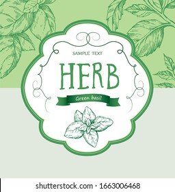 Basil label.Vector sketches. Herbs and spice. Vintage style. Hand drawn.