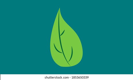 basil leaf of green color on a green background, vector illustration. basil to add to food, pizza, various dishes. natural organic seasoning, black and white illustration.