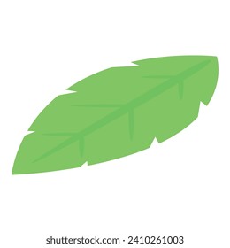 Basil leaf icon isometric vector. Fresh herb. Aromatic food