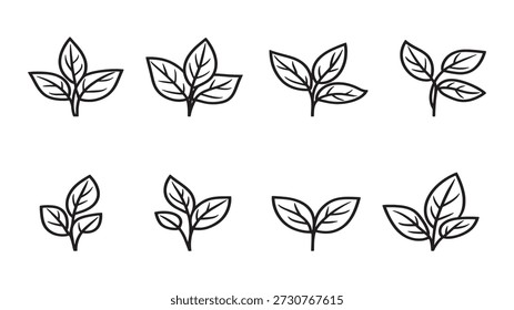 Diseño botánico de la línea de la hoja de albahaca para los amantes naturales de la salud