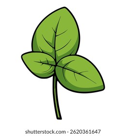 Hoja de albahaca Naturaleza Flora Flora Ilustración vectorial de color plano Diseño de Plantilla