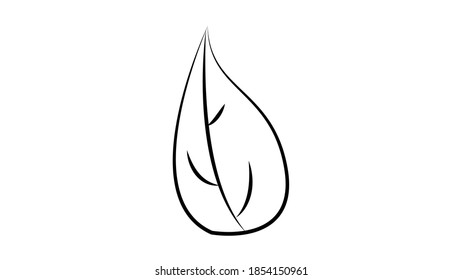 basil leaf on white background, vector illustration. basil to add to food, pizza, various dishes. natural organic seasoning, black and white illustration.