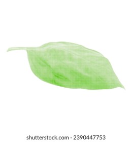 Basil leaf one from green circles dots of different sizes on white background
