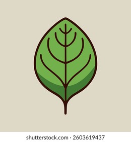 basil leaf plant nature flat color vector illustration template design