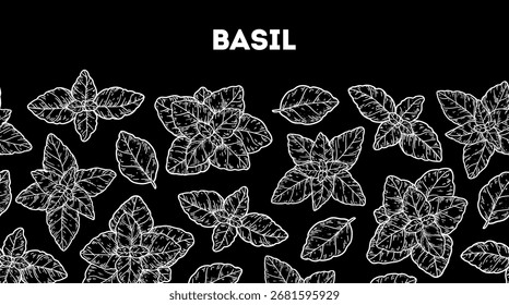 Basil leaf sketch. Horizontal seamless pattern. Hand drawn vector illustration. Kitchen herbs and spice
