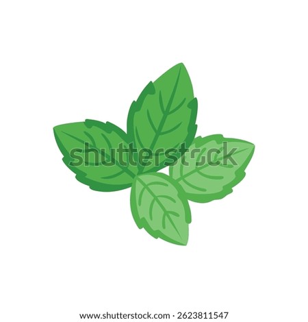 basil, leaf, stylish, icon, healthy, culinary, ingredient, food, nutrition