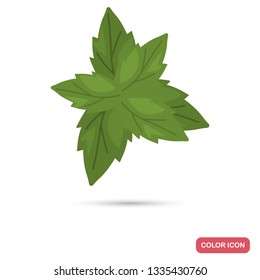 basil leaves color flat icon for web and mobile design