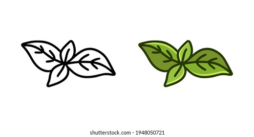 Basil leaves doodle icon. Linear and color version. Black simple illustration of fresh spice or green plant. Contour isolated vector pictogram on white background