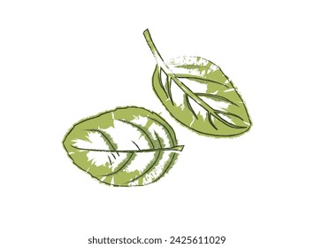 hojas de albahaca color de relleno abstracto en el fondo blanco hojas tropicales, estilo de identidad, vector de decoración