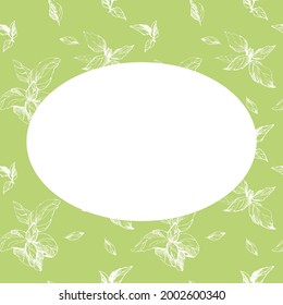 Basil leaves hand drawn background with copy space. Fresh herbs, organic product background. white circle empty for text. Culinary and cooking wallpaper, label, packaging design.