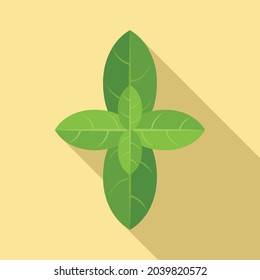 La cuenca deja un vector plano de icono. Planta de hierbas. Especie de hoja