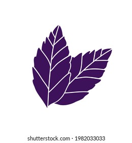 Basil leaves icon logo sign Hand drawn health symbol Spice seasoning for the kitchen Natural design Cartoon children's style Fashion print clothes apparel greeting invitation card cover poster banner