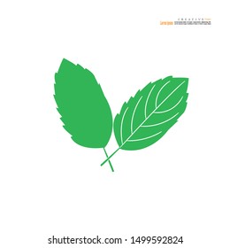 Basil leaves icon on white background. Food cooking ingredient aromatic organic.Vector illustration.