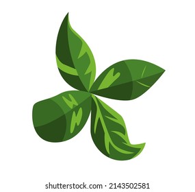 Basil leaves isolated on a white background. Vector cartoon illustration.
