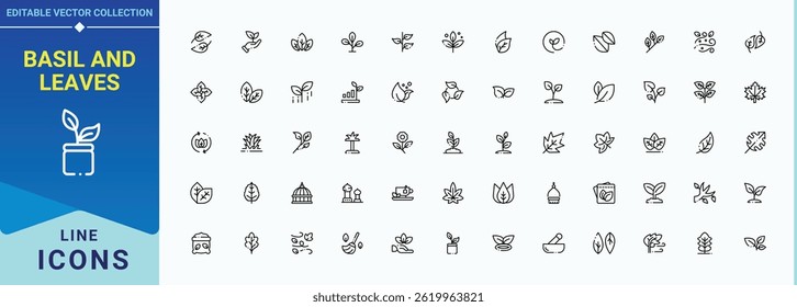 Conjunto de iconos de línea de albahaca y hojas. Colección de iconos lineales de albahaca. Iconos de interfaz de usuario delgada. Con naturaleza, albahaca, jardín, hoja, eco, árbol, ecología y más. Píxel perfecto. Trazo editable.