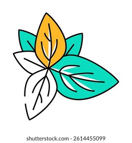 basil leaves line icon vector. basil leaves sign. isolated symbol illustration
