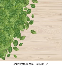 Basil leaves on wood texture. Organic background. Hand drawn vector illustration. Place for your text.