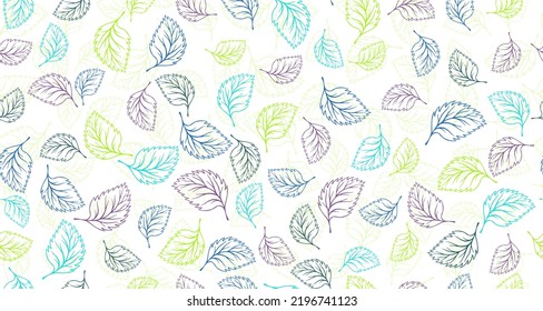 Las hojas de la cuenca delinean el vector de diseño gráfico de patrones sin fisuras. Fondo dibujado a mano floral. Huella textil de abedul o albahaca. El doodle orgánico de primavera deja un patrón continuo. Lienzo mínimo 