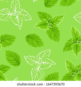 Basil leaves seamless pattern. Vector cartoon color illustration of green herbs on green background. White outline.